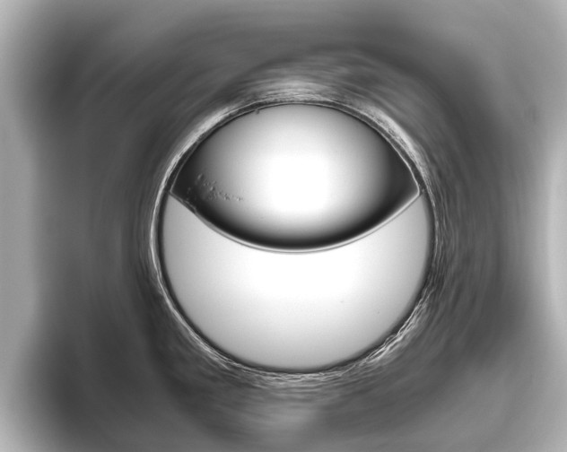 X0000096461293200801241110