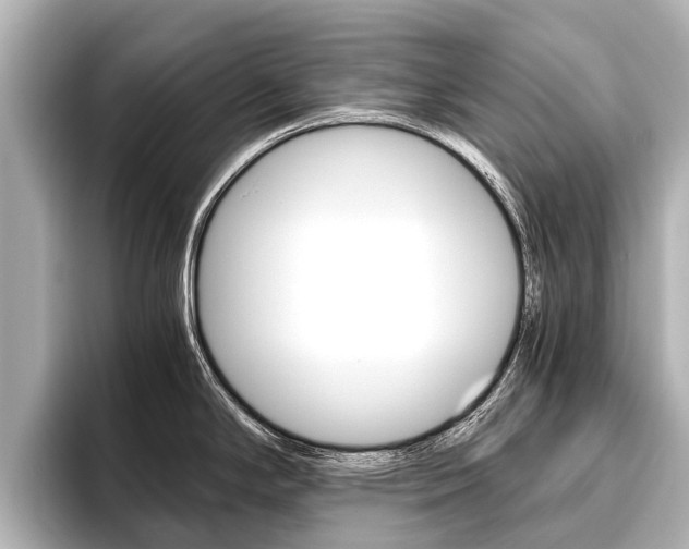 X0000096461294200801241110