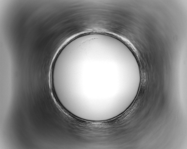 X0000096461295200801241110