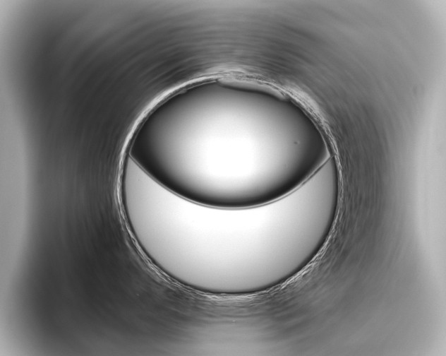 X0000096461296200801241110