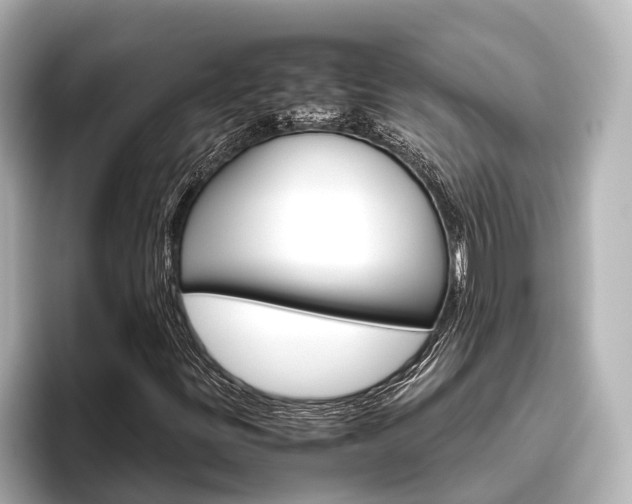 X0000096461299200801241110