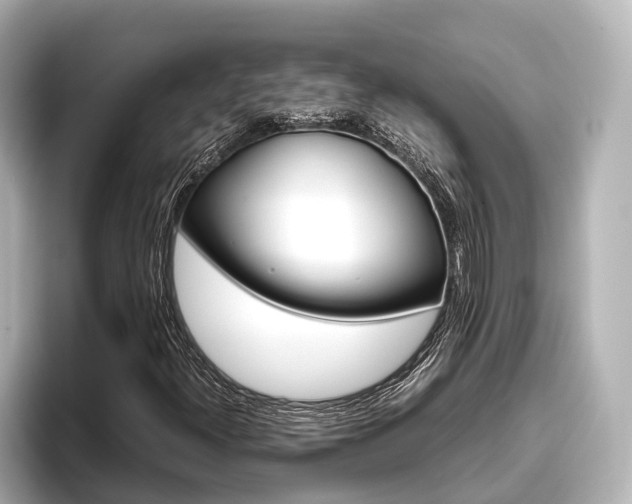 X0000096461300200801241110