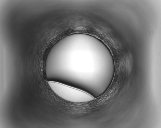 X0000096461301200801241110