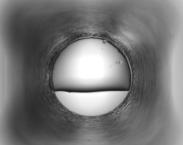 X0000096461302200801241110