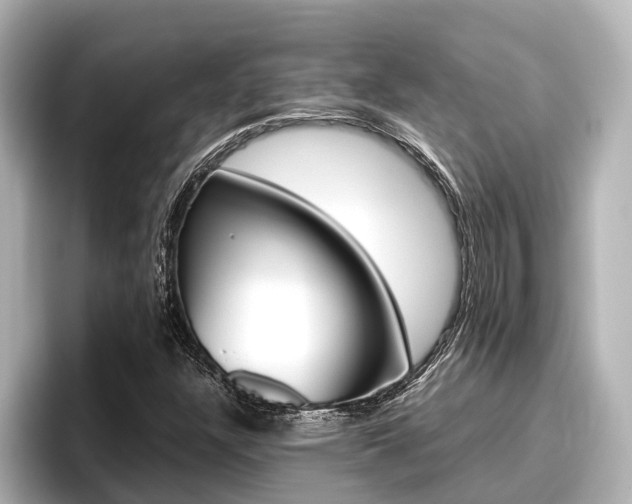 X0000096461304200801241110