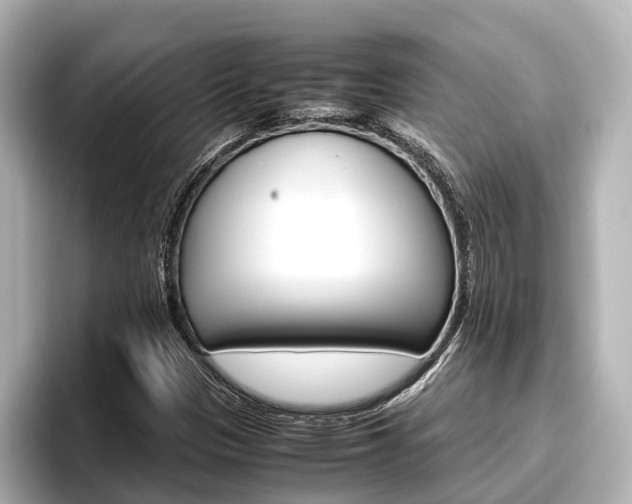 X0000096461305200801241110