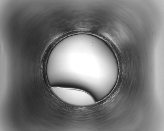 X0000096461307200801241110