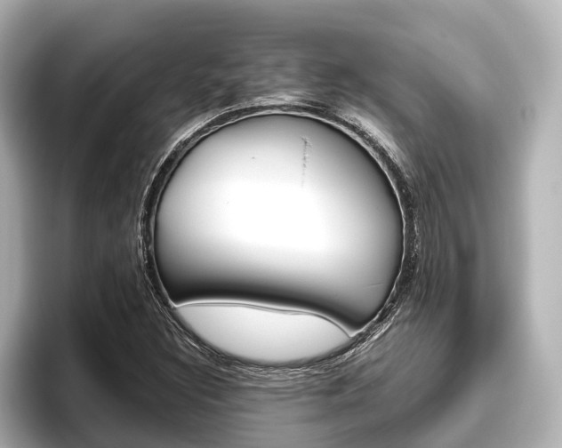 X0000096461308200801241110