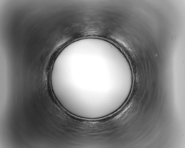 X0000096461309200801241110