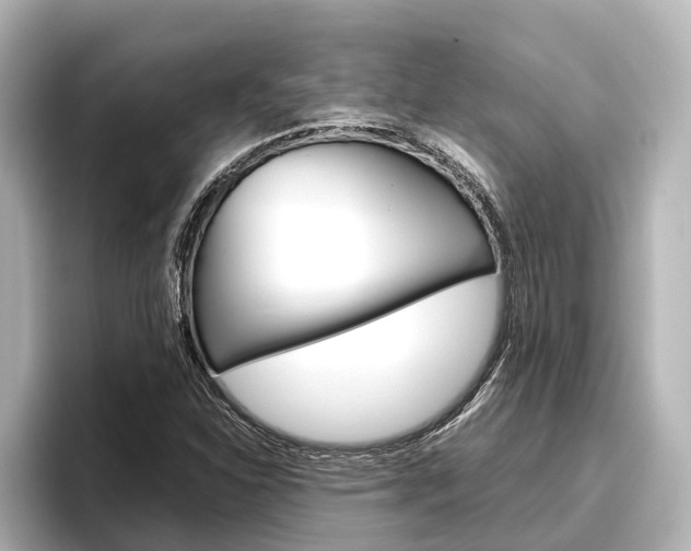 X0000096461310200801241110
