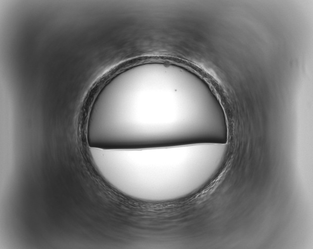 X0000096461311200801241110