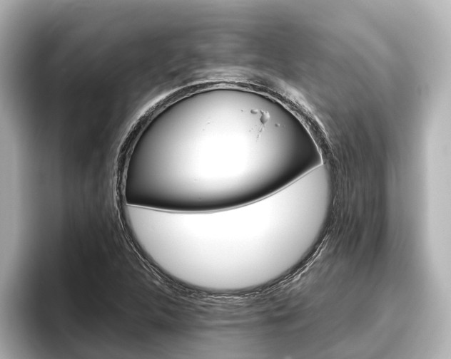 X0000096461312200801241110