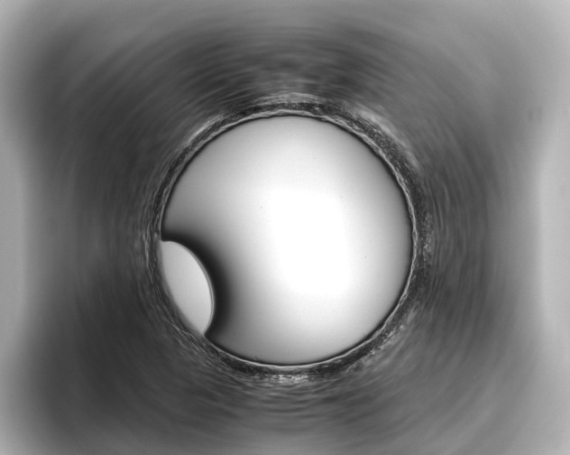 X0000096461313200801241110