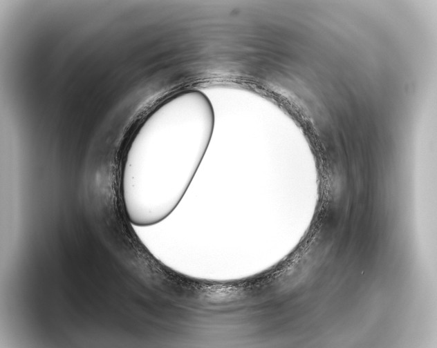 X0000096461314200801241110