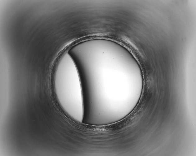 X0000096461315200801241110
