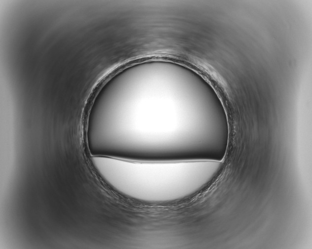 X0000096461316200801241110