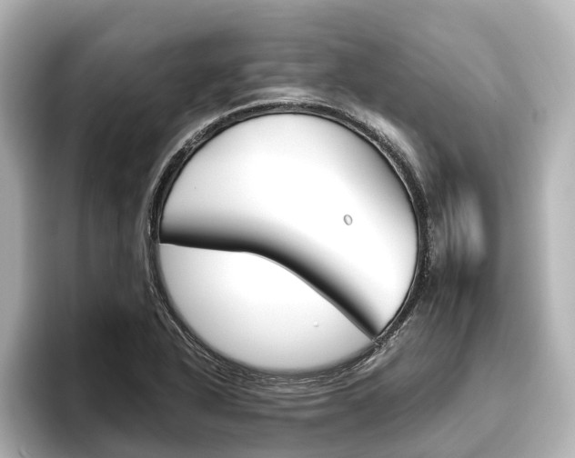 X0000096461318200801241110