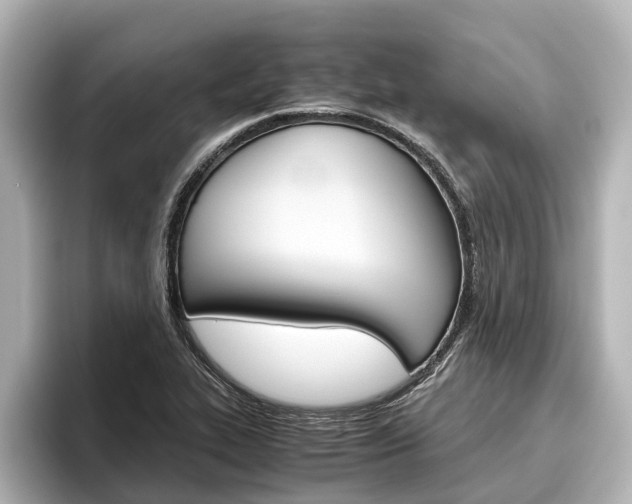X0000096461319200801241110
