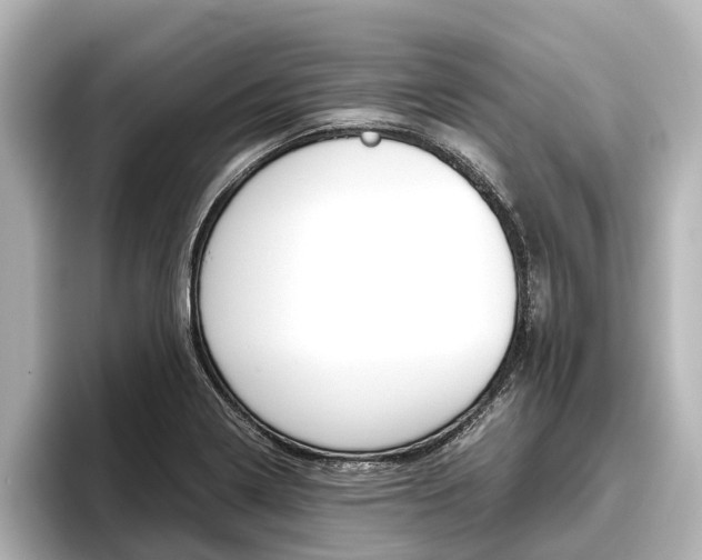 X0000096461322200801241110