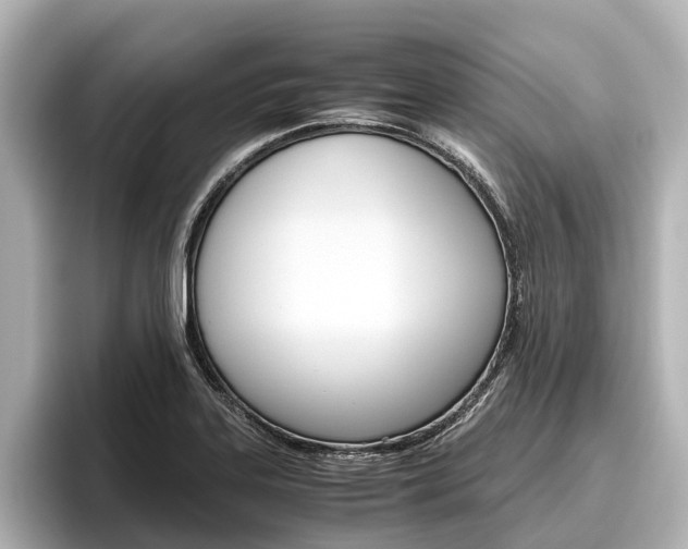 X0000096461323200801241110