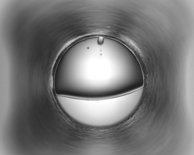 X0000096461324200801241110