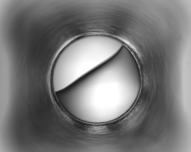 X0000096461325200801241110