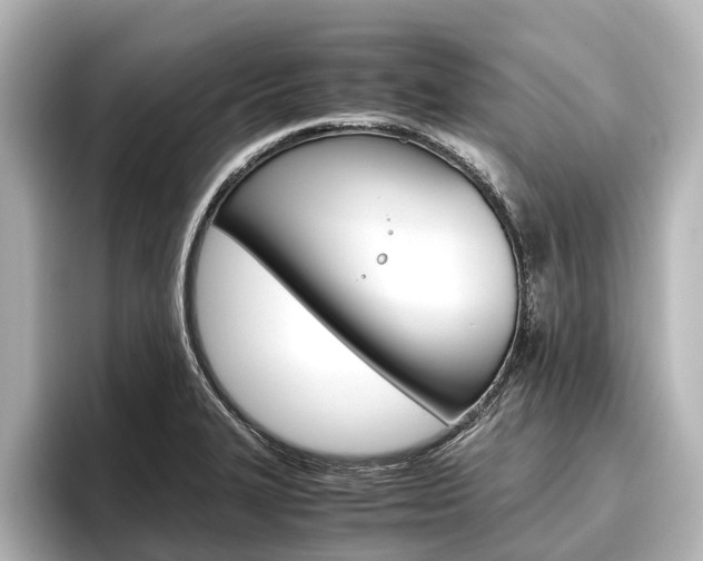 X0000096461327200801241110