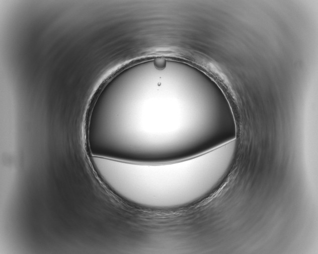 X0000096461328200801241110