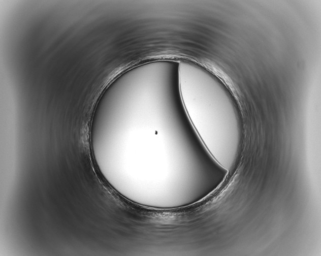 X0000096461329200801241110