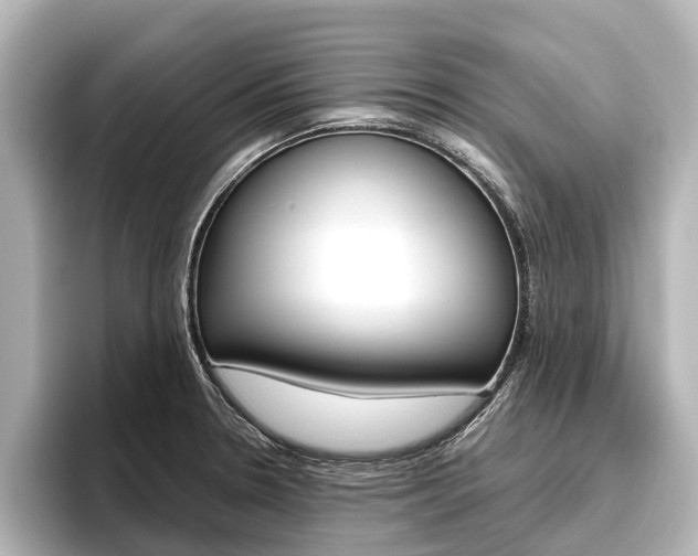 X0000096461330200801241110