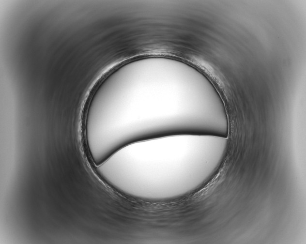 X0000096461331200801241110