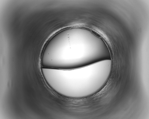 X0000096461332200801241110