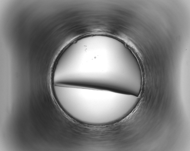 X0000096461333200801241110