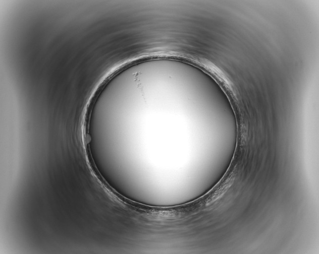 X0000096461334200801241110