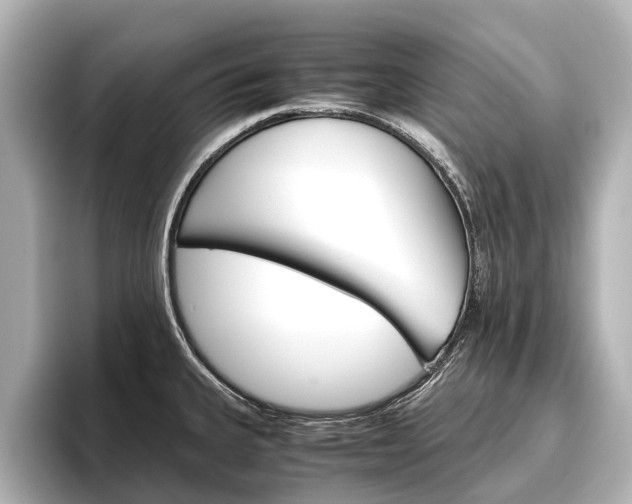 X0000096461335200801241110