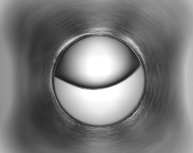 X0000096461336200801241110