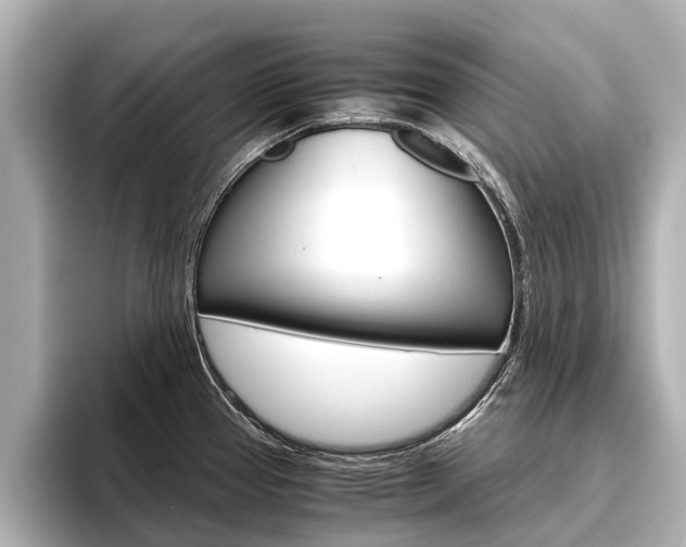 X0000096461337200801241110