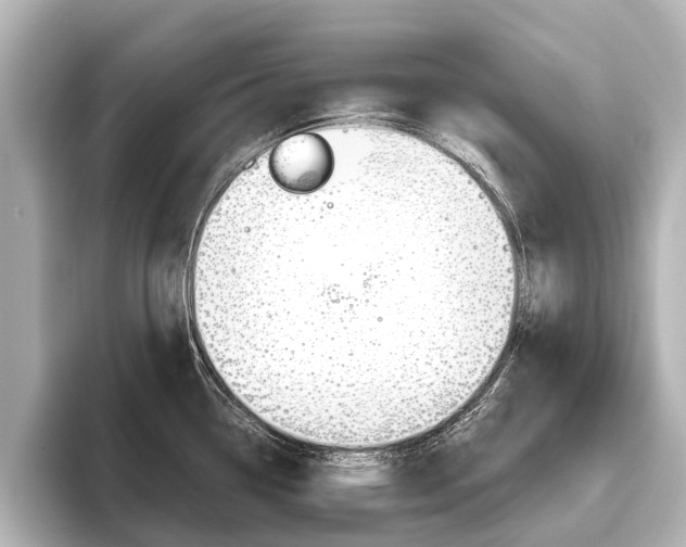 X0000096461338200801241110