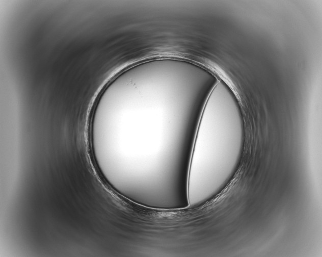 X0000096461339200801241110