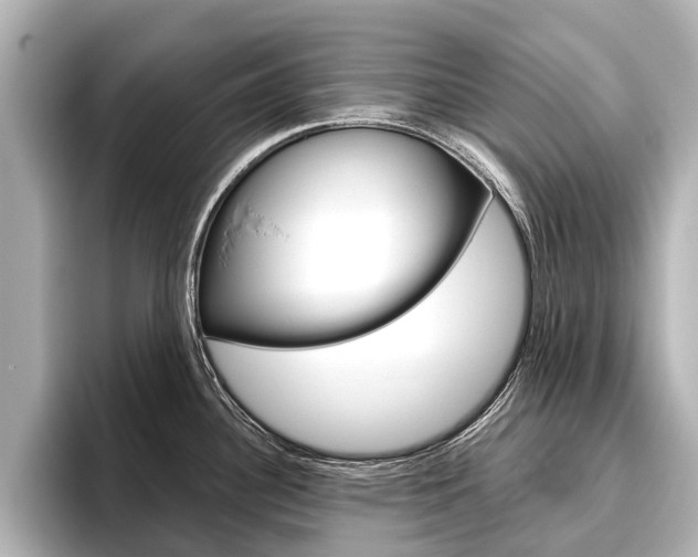 X0000096461340200801241110