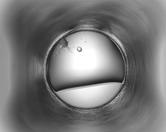 X0000096461341200801241110