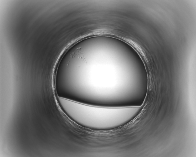 X0000096461342200801241110