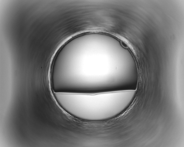 X0000096461343200801241110