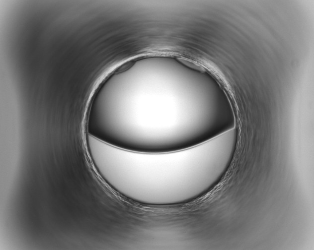 X0000096461344200801241110