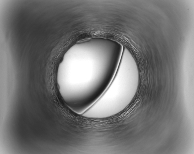 X0000096461345200801241110