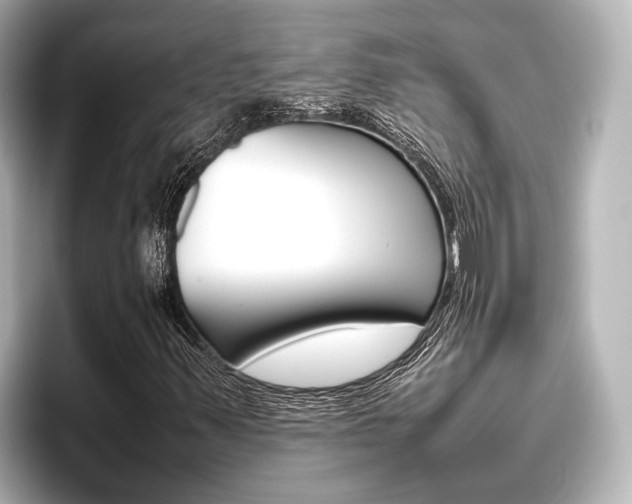 X0000096461347200801241110