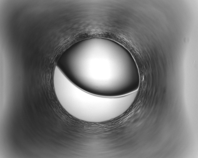X0000096461348200801241110