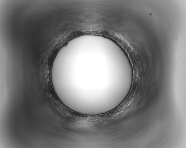 X0000096461350200801241110