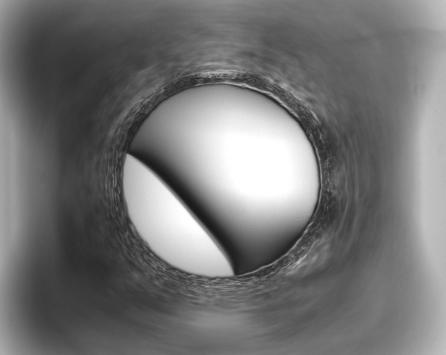 X0000096461351200801241110
