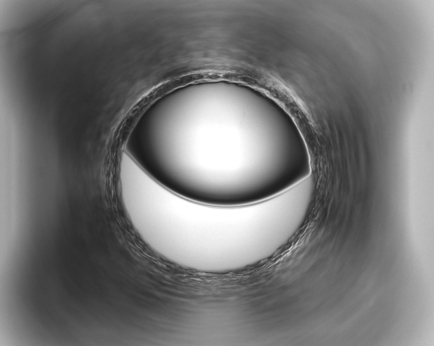 X0000096461352200801241110